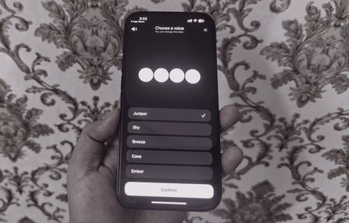 Voice option selection on ChatGPT.